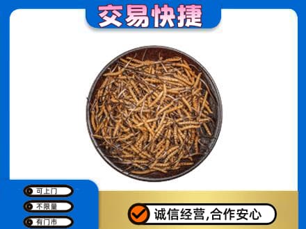张掖市山丹高价回收散虫草