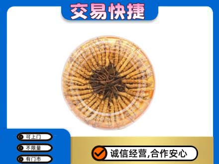 张掖市山丹回收虫草礼盒